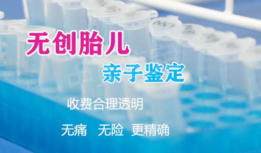 辽宁省胎儿亲子鉴定程序是什么,辽宁省胎儿亲权鉴定费用