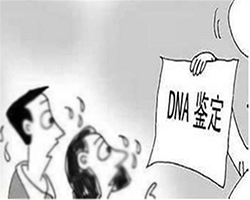 辽宁医院做亲子鉴定生物检材有些什么，辽宁医院办理亲子鉴定哪里做的准